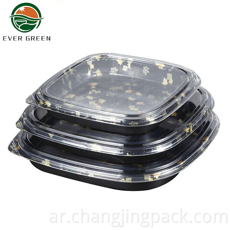Rectangle Disposable Blister Food Grade Serving Platter Tray